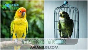 impacts on daily life impacts on daily life