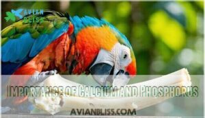 importance of calcium and phosphorus