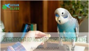 importance of consistency and patience