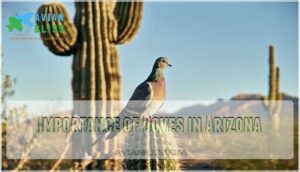 importance of doves in arizona