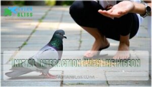 initial interaction with the pigeon