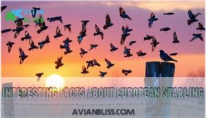 interesting facts about european starling