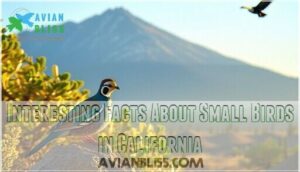 interesting facts about small birds in california