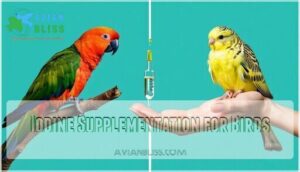 iodine supplementation for birds