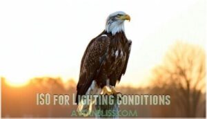 iso for lighting conditions