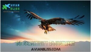 iso sensitivity adjustment