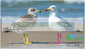 juvenile and adult differences