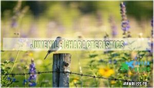 juvenile characteristics