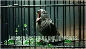 labored breathing and droppings