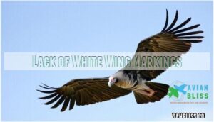 lack of white wing markings