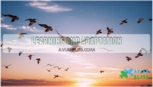 learning and adaptation