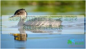 least grebe