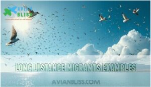 long distance migrants examples