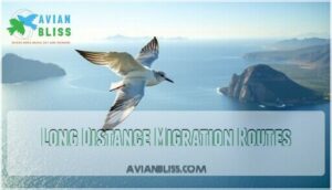 long distance migration routes long distance migration routes