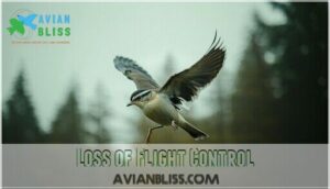 loss of flight control