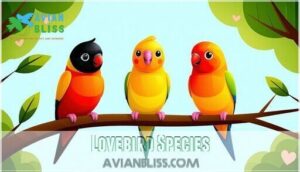 lovebird species