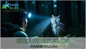 lumens and beam distance