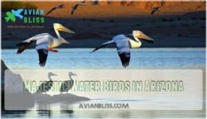 majestic water birds in arizona