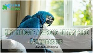 may indicate a strong human-bird relationship