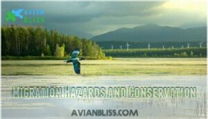 migration hazards and conservation