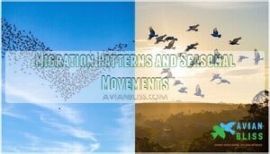 migration patterns and seasonal movements