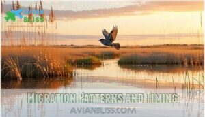 migration patterns and timing