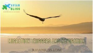 migration triggers and navigation
