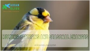 molting patterns and seasonal changes