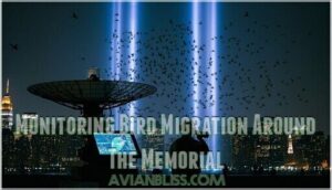 monitoring bird migration around the memorial