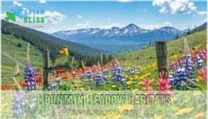 mountain meadow habitats mountain meadow habitats