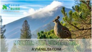 mountain quail conservation
