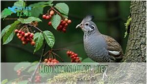 mountain quail diet