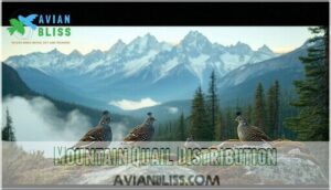 mountain quail distribution