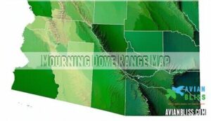 mourning dove range map