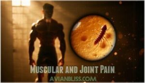 muscular and joint pain