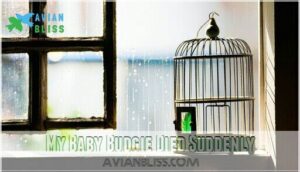 my baby budgie died suddenly