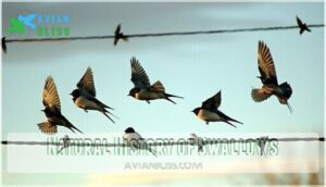 natural history of swallows