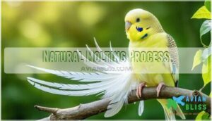 natural molting process natural molting process