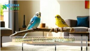 neutral space interactions