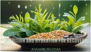 nutrition and hydration for recovery