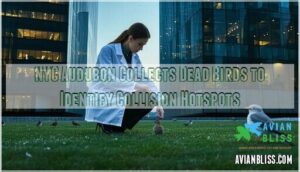 nyc audubon collects dead birds to identify collision hotspots