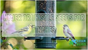 nyjer or thistle seeds for finches