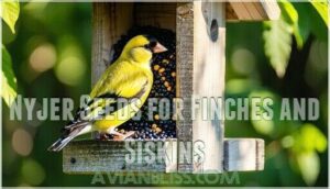 nyjer seeds for finches and siskins