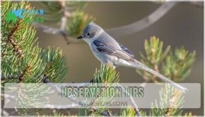 observation tips