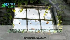 open cracks or broken windows