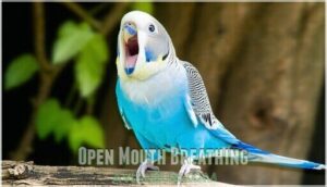 open mouth breathing