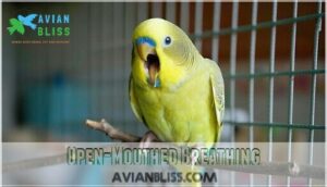 open-mouthed breathing open-mouthed breathing