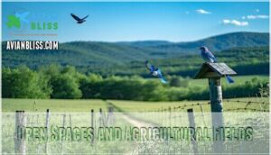 open spaces and agricultural fields