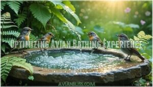 optimizing avian bathing experience