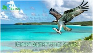 osprey conservation status